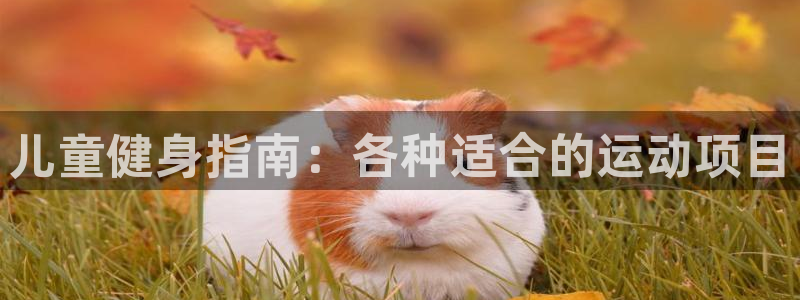 利记官网下载招商电话号码是多少:儿童健身指南:各种适合的运动