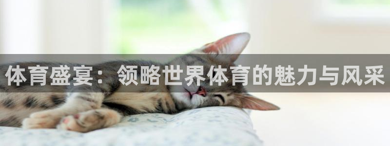 德国利记官方正版app集团:体育盛宴:领略世界体育的魅力与风